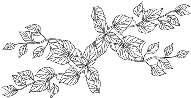 Background Image 1